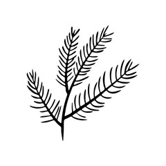 Coniferous tree branch vector icon. Hand drawn illustration in doodle style. Christmas branch. Sprig of pine, fir, spruce. Botanical clipart for decoration, card design, invitation, web