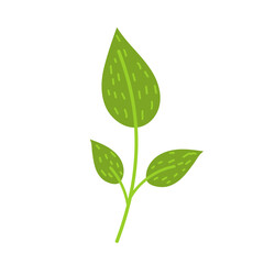 Simple little green leaf vector flat illustration. - 541207490