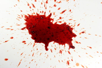 Red real blood splashed isolated on white background, Blood drip.