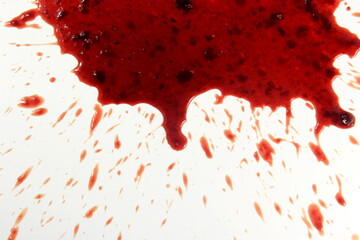 Red real blood splashed isolated on white background, Blood drip.