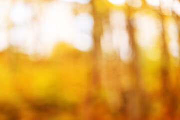 autumnal natural bokeh with sun for background or backdrop