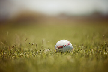 Baseball, pitch and sports ball on grass on an outdoor field for a game, training or practice. Softball, sport and closeup of equipment for match, practicing or exercise in nature at outside stadium.
