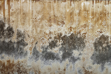 closeup texture old wall abstract background cement floor, Concrete crack, vintage wall background, old wall