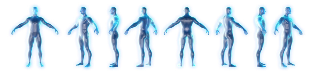 360 degree rotating male 3d body model on x-ray

