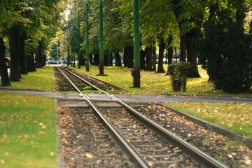 The peaceful and empty beautiful street with railway of public transport - tram and autumn tree alley with shadow in the old center of Arad, Romania