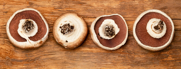 Fototapeta premium Pano image of fresh harvested portobello mushrooms