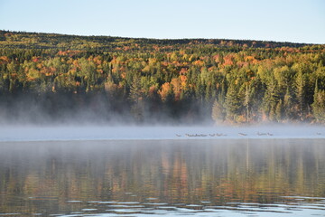 An autumn morning at the lake, Sainte-Apolline, Québec, Canada