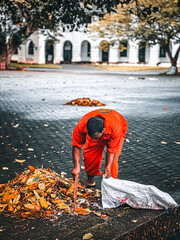 middle aged labourer cleaning a public park.
