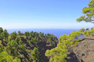Barranco de Izcagua, La Palma