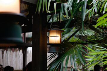 Close up on a retro lantern hanging on a wooden structure in the jungle.  Tropical foliage is visible