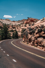 Road in the desert in Zion Nationalpark USA