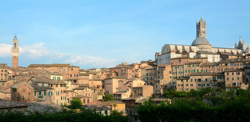 Fototapeta premium Panorama of Siena with the red houses, the cathedral in Italian Romanesque-Gothic style and the Torre del Mangia overlooking Piazza del Campo.