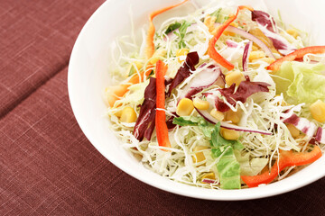 千切りキャベツとカラフル野菜のサラダ