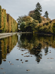 autumn in the park