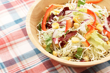 千切りキャベツとカラフル野菜のサラダ