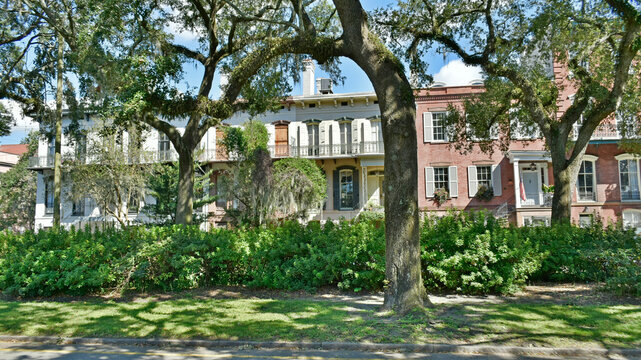A boulevard in Savannah, Georgia, with a park between the lanes creates peaceful greenspace in the old city.