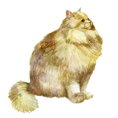 Watercolor illustration. Image of a cat. Beige fluffy cat.