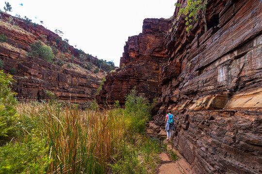 backpacker girl hiking through a canyon in karijini national park in western australia, hiking in the Australian outback; desert with red rocks
