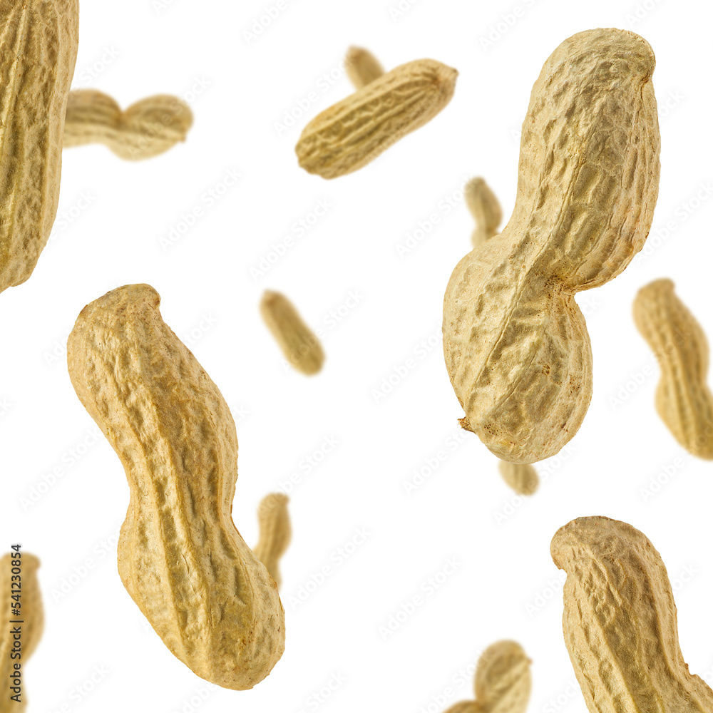 Poster seamless pattern of peanuts isolated on white background. seamless, pattern