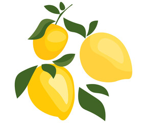 Obraz premium branch with lemons