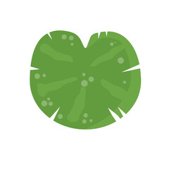 Water lily in pond. River plant. Green leaves. Nature of swamp, scenery of lake. © Taras