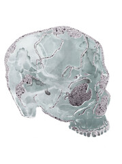 White skull illustration. Watercolor sophisticated bronze color skull with a glitter. Designed for a tarot cards, magic, halloween, witch crafts, Día de Muertos.