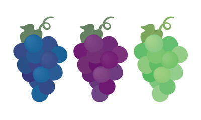 3列に並んだぶどう