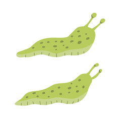 Green slug. Set of slippery insects. Flat cartoon illustration