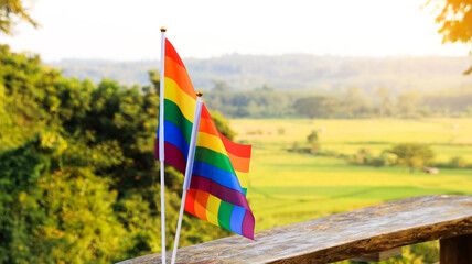 LGBTQ flag decorated to call out the world to respect gender diversity and to celebrate lgbtq+ community in pride month, soft and selective focus.                                           