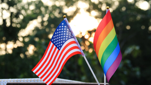 LGBTQ Flag Decorated To Call Out The World To Respect Gender Diversity And To Celebrate Lgbtq+ Community In Pride Month, Soft And Selective Focus.                                           