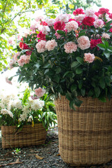 flowers in natural fiber basket