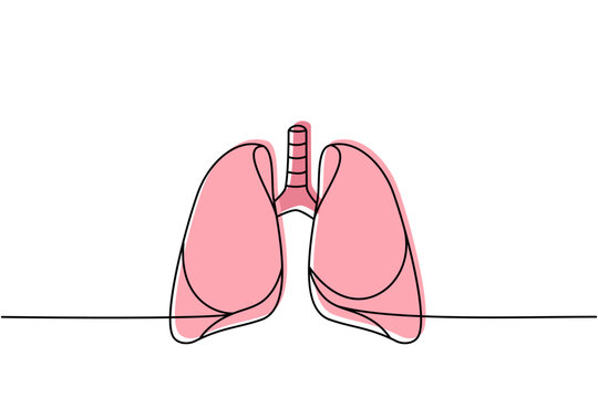 Human lungs one line colored continuous drawing. Human organ continuous colorful one line illustration. Vector minimalist linear illustration.