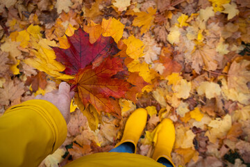 bright autumn. girl in yellow rubber boots walking