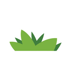 Grass Vector