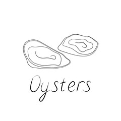Oysters illustration and hand-written inscription. Vector logo