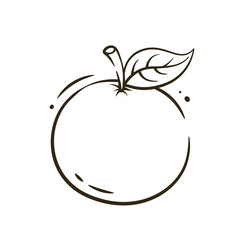 Illustration vector graphic of Orange. Orange fruit vector sketch isolated on a white background. The illustration is suitable for web landing page banners, flyers, stickers, cards, etc.