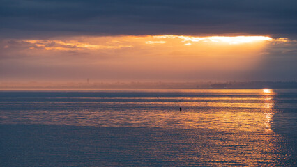 Phoque veau marin, Baie des Veys