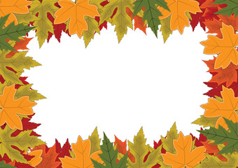 Fototapeta premium The design card element pattern for the leaf of maple in nature's autumn and Christmas holiday in winter thanksgiving and celebrate in October of every year.