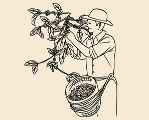 coffee picker of drawing illustration vector. coffee packaging label of ink drawing on paper for promotion design. coffee promotion banner of coffee bean picker image in vintage style.