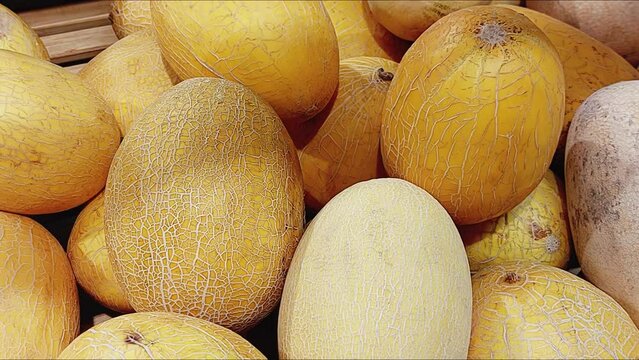 A lot of yellow torpedo melons are sold in the store. Delicious natural fruit, background