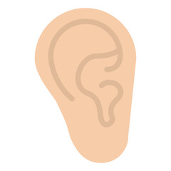 ear human body organ