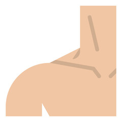 shoulder human body organ