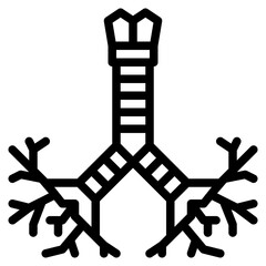 bronchus human body organ