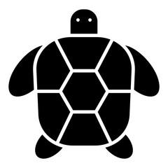 Obraz premium turtle icon