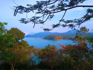 autumn trees on the lake