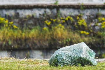Green garbage bag laying on the ground. Nature cleaning. Natural cleanup of dried plants in...