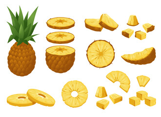 Pineapple set. Tropical fresh whole and peeled fruit pieces, cartoon natural sweet ripe ananas delicious raw snack. Colorful vector isolated collection