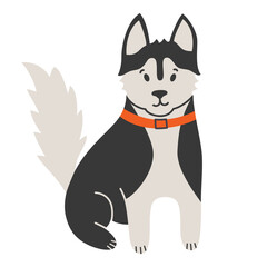 Siberian husky dog, doodle illustration of black and white puppy, cute dog,  vector illustration of domestic animal and pet care, pet shop icon, isolated colored clipart on white background © Elena
