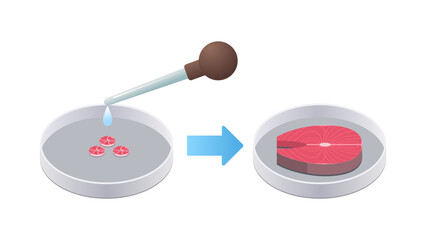 petri dish with fish steak cultured raw red meat made from animal cells artificial lab grown meat production