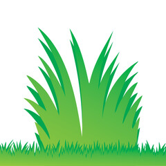 green grass vector